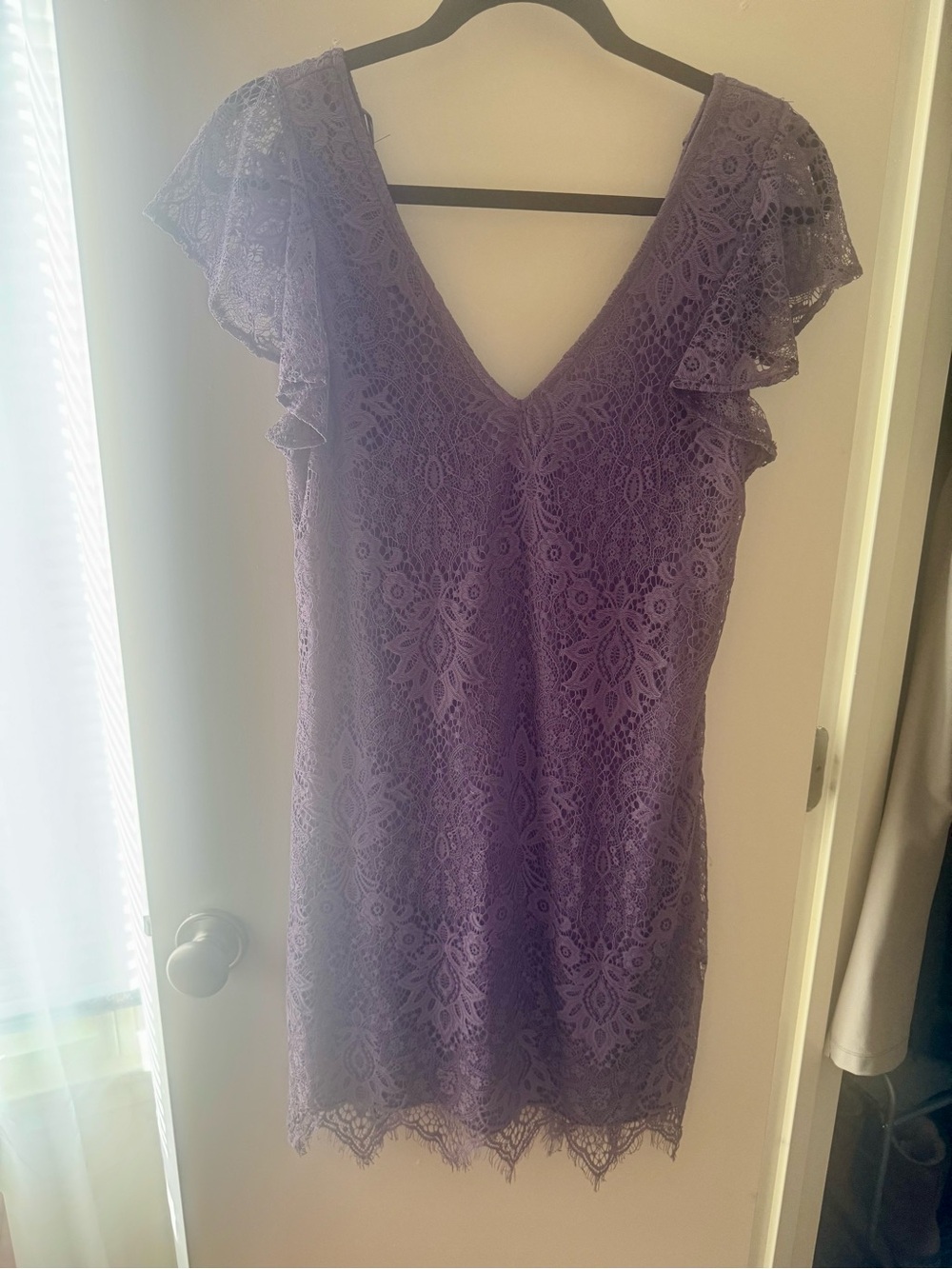 Francesca's Collections Lavender Purple Lace V-Neck Mini Dress